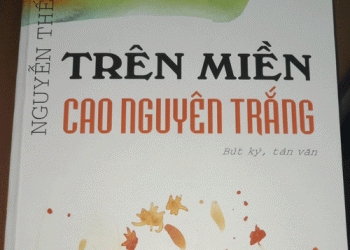 Musician (Nhạc sĩ) – Trịnh Hùng Khanh