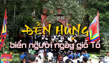 Lễ hội bơi chải