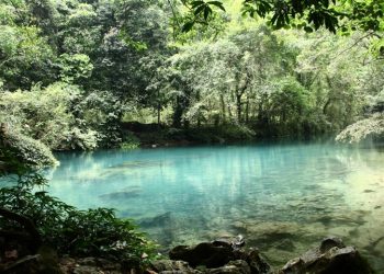 Ký ức tuổi thơ bên nội