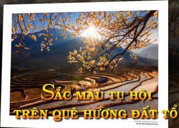 Phóng sự sắc màu tụ hội trên quê hương Đất Tổ