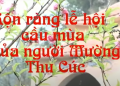 Lễ hội Roi người Mường Tân Sơn – Phú Thọ