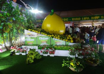 Ấn tượng Hội chợ nông sản hàng hoá, kết nối giao thương năm 2020