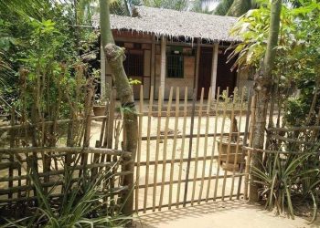 Hương hoa sữa mùa thu