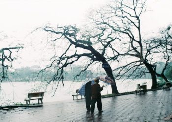 Hương hoa sữa mùa thu