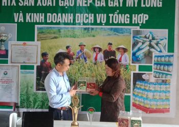 Nếp Gà Gáy Mỹ Lung – huyền thoại về đặc sản xứ Mường