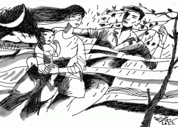 Lỡ một chuyến đò