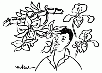 Đột biến