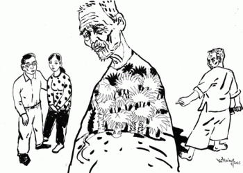 Lá cọ xanh óng ả