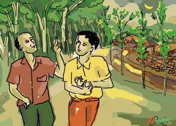 Hương hoa sữa mùa thu