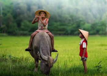 Tuổi thơ tôi