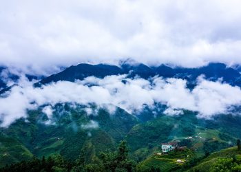 Hương Bưởi nồng nàn